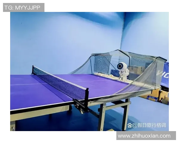 王磊独家分享乒乓球技巧与心得助你提升球技的秘诀与经验总结